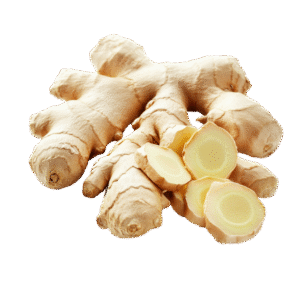 Jengibre / Ginger
