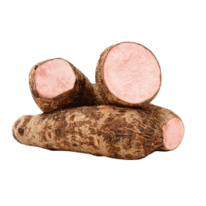Malanga/Yautía Lila