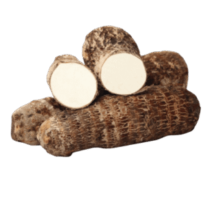 White Malanga / Yautia